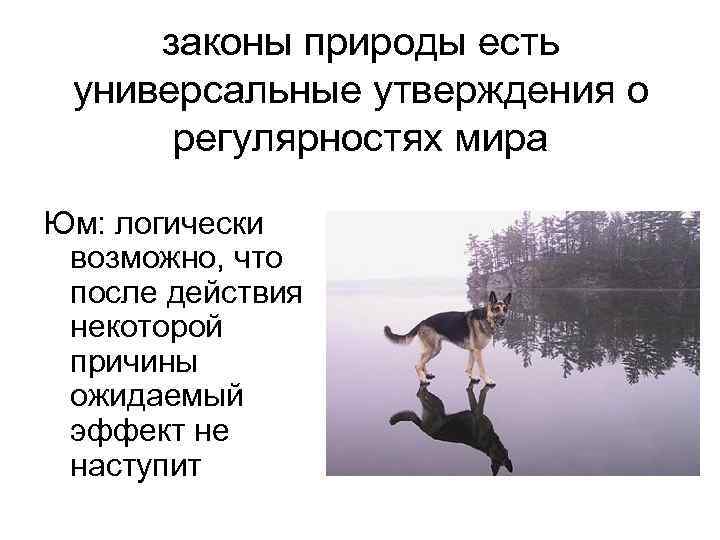 законы природы есть универсальные утверждения о регулярностях мира Юм: логически возможно, что после действия