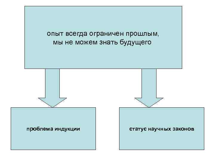 опыт всегда ограничен прошлым, мы не можем знать будущего проблема индукции статус научных законов