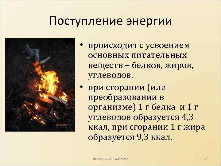 Поступление энергии • происходит с усвоением основных питательных веществ – белков, жиров, углеводов. •