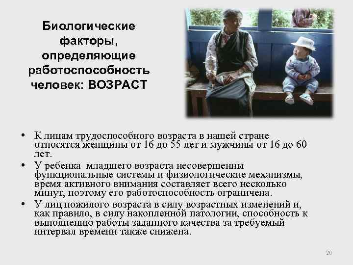 Биологические факторы, определяющие работоспособность человек: ВОЗРАСТ • К лицам трудоспособного возраста в нашей стране
