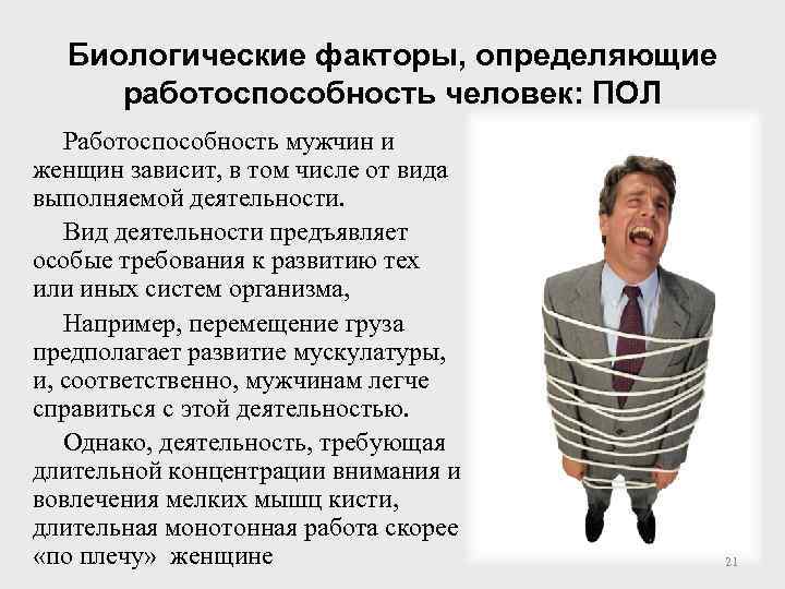 Биологические факторы, определяющие работоспособность человек: ПОЛ Работоспособность мужчин и женщин зависит, в том числе