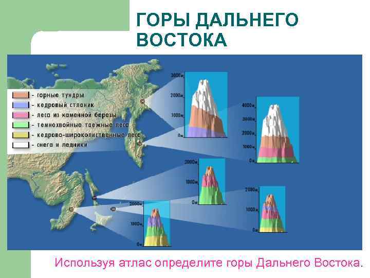 Природные зоны горных. Высотная поясность гор дальнего Востока. Горы дальнего Востока Высотная поясность. Высотная поясность дальнего Востока схема. Высотная поясность гор дальнего Востока схема.