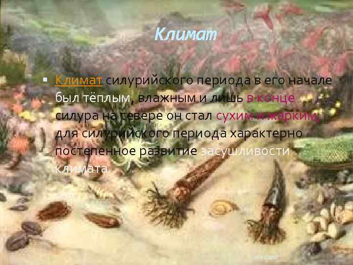 Климат силурийского периода в его начале был тёплым, влажным и лишь в конце силура