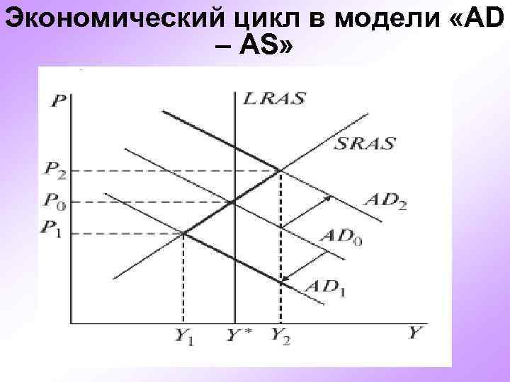 Экономический цикл в модели «AD – AS» 