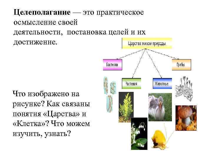 Целеполагание — это практическое осмысление своей деятельности, постановка целей и их достижение. Что изображено