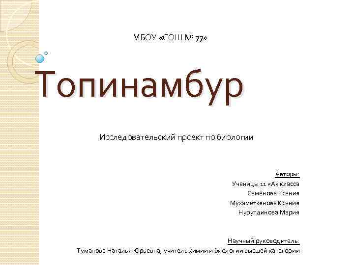 МБОУ «СОШ № 77» Топинамбур Исследовательский проект по биологии Авторы: Ученицы 11 «А» класса