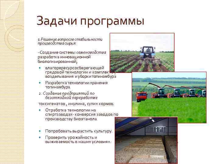 Задачи программы 1. Решение вопросов стабильности производства сырья: -Создание системы семеноводства разработка инновационной биологизированной,