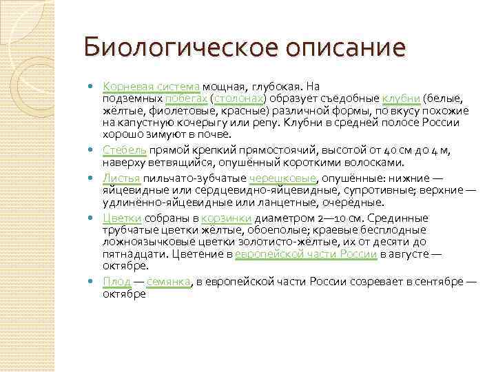 Биологическое описание Корневая система мощная, глубокая. На подземных побегах (столонах) образует съедобные клубни (белые,