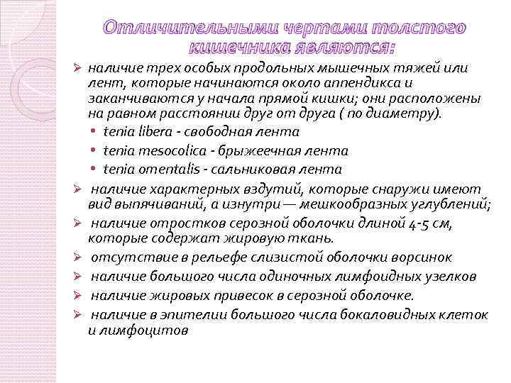 Отличительными чертами толстого кишечника являются: Ø Ø Ø Ø наличие трех особых продольных мышечных