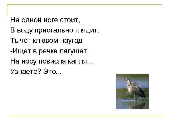 На одной ноге стоит, В воду пристально глядит. Тычет клювом наугад -Ищет в речке