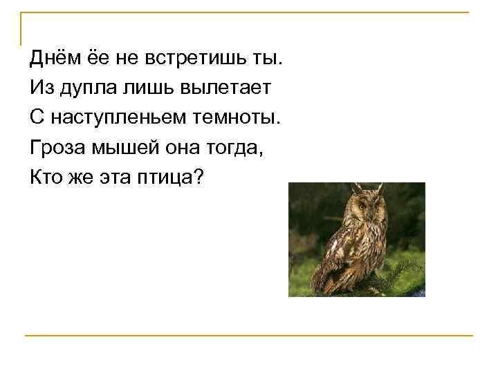 Днём ёе не встретишь ты. Из дупла лишь вылетает С наступленьем темноты. Гроза мышей