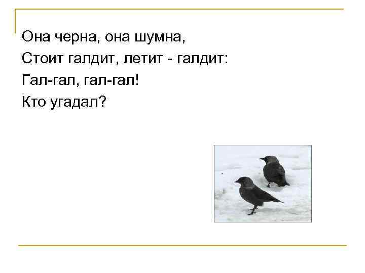 Она черна, она шумна, Стоит галдит, летит - галдит: Гал-гал, гал-гал! Кто угадал? 