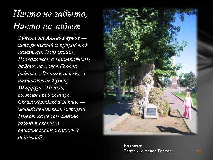 Ничто не забыто, Никто не забыт То поль на Алле е Геро ев —