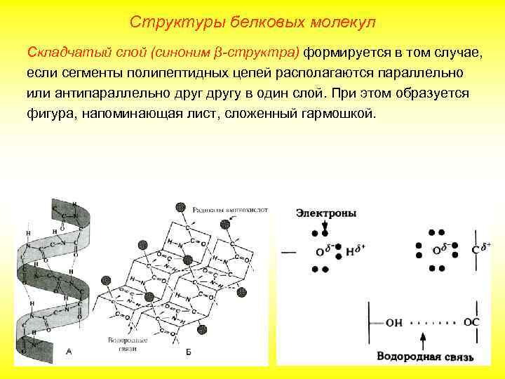 Какая структура белковой молекулы изображена на рисунке