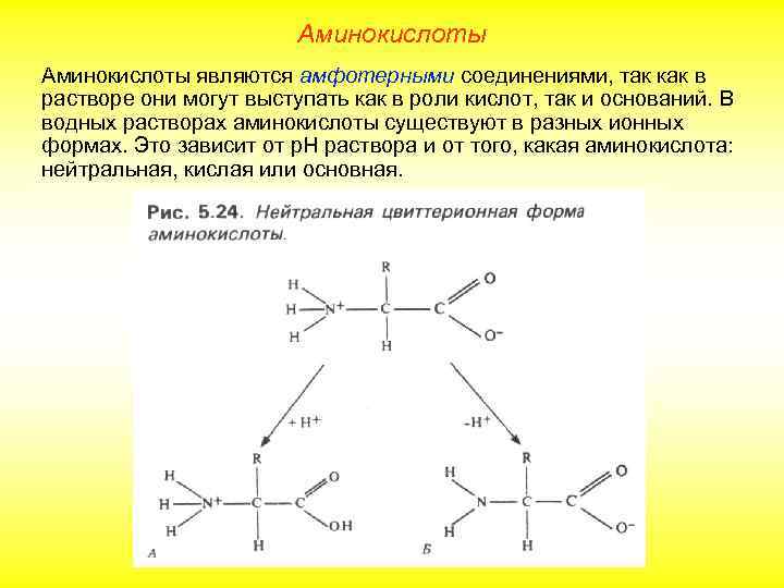 Амины являются соединениями