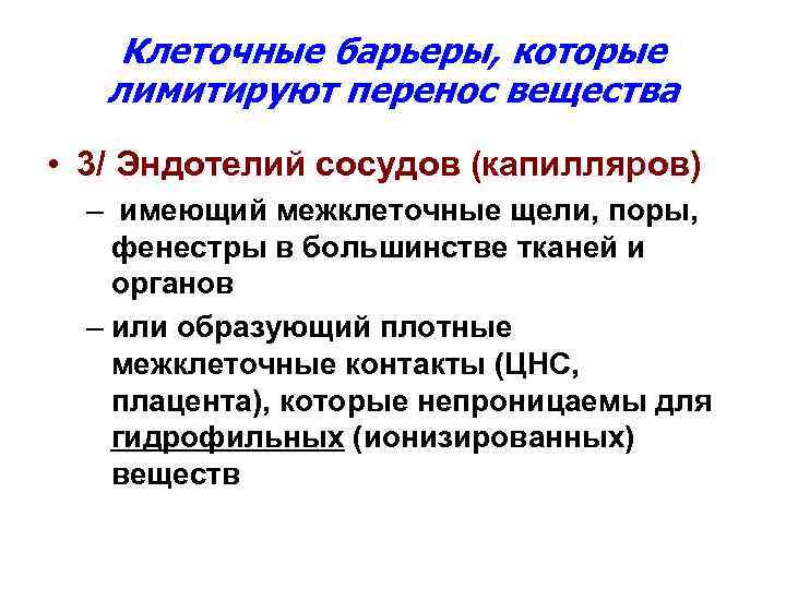 Клеточные барьеры, которые лимитируют перенос вещества • 3/ Эндотелий сосудов (капилляров) – имеющий межклеточные