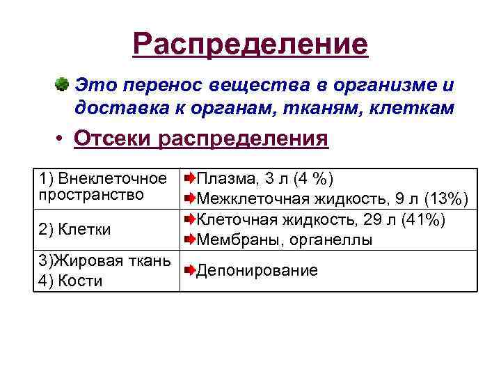 Распределение Это перенос вещества в организме и доставка к органам, тканям, клеткам • Отсеки
