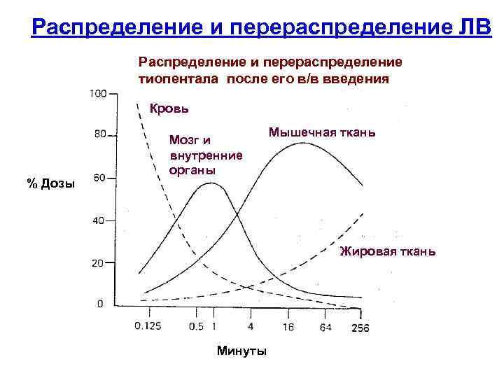 Распределение и перераспределение ЛВ Распределение и перераспределение тиопентала после его в/в введения Кровь %