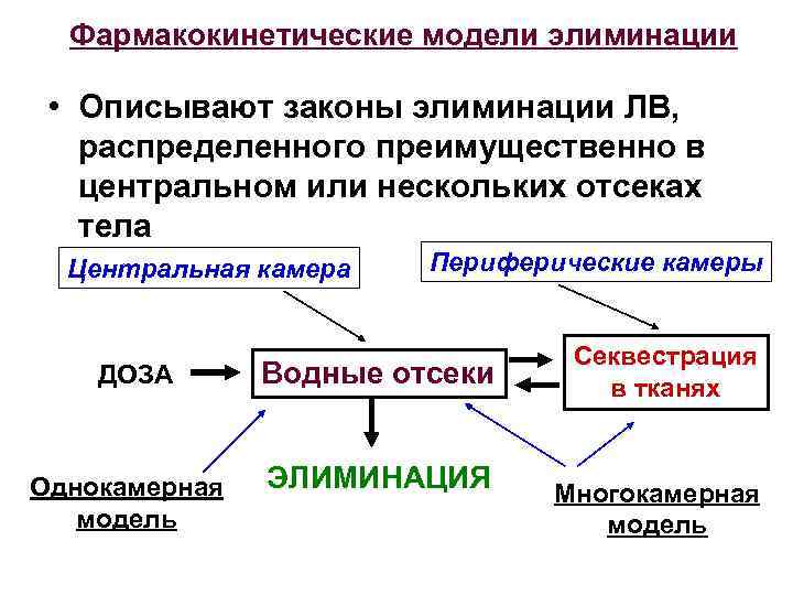 Фармакокинетические модели элиминации • Описывают законы элиминации ЛВ, распределенного преимущественно в центральном или нескольких
