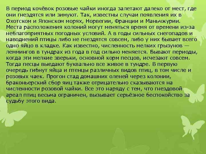 В период кочёвок розовые чайки иногда залетают далеко от мест, где они гнездятся или