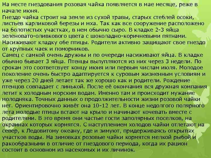 На месте гнездования розовая чайка появляется в мае месяце, реже в начале июня. Гнездо