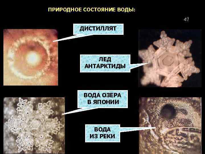 ПРИРОДНОЕ СОСТОЯНИЕ ВОДЫ: 47 ДИСТИЛЛЯТ ЛЕД АНТАРКТИДЫ ВОДА ОЗЕРА В ЯПОНИИ ВОДА ИЗ РЕКИ