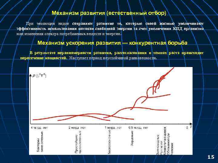 Механизм развития (естественный отбор) При эволюции видов сохраняют развитие те, которые своей жизнью увеличивают