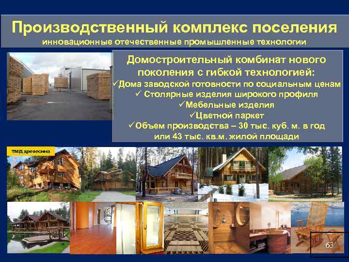 Производственный комплекс поселения инновационные отечественные промышленные технологии Домостроительный комбинат нового поколения с гибкой технологией: