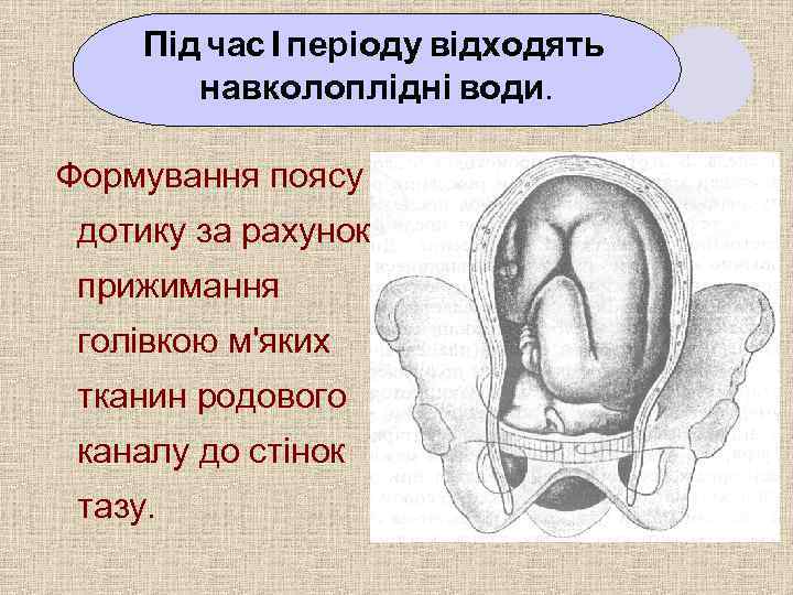 Під час І періоду відходять навколоплідні води. Формування поясу дотику за рахунок прижимання голівкою