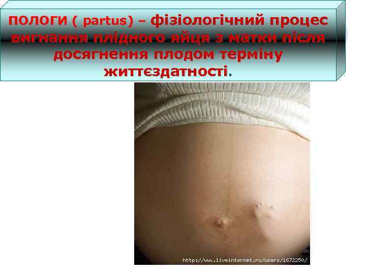 ПОЛОГИ ( partus) – фізіологічний процес вигнання плідного яйця з матки після досягнення плодом