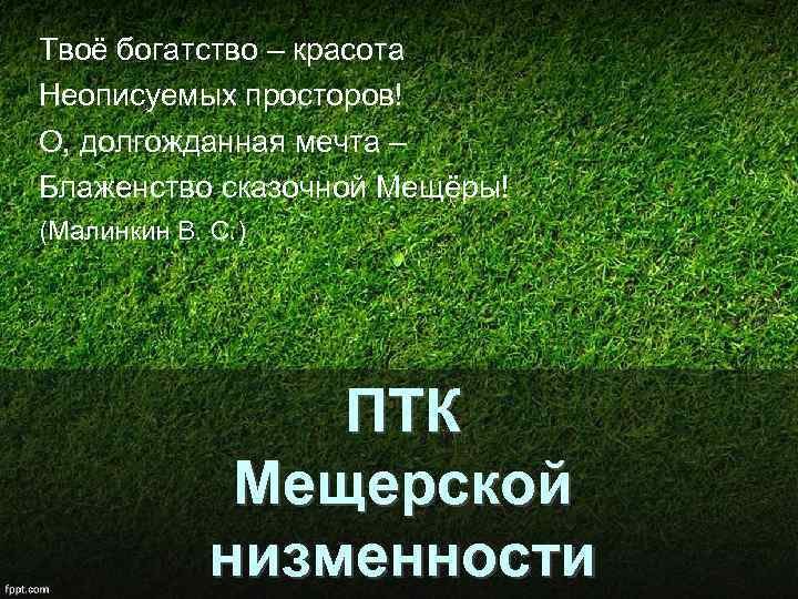 Твоё богатство – красота Неописуемых просторов! О, долгожданная мечта – Блаженство сказочной Мещёры! (Малинкин