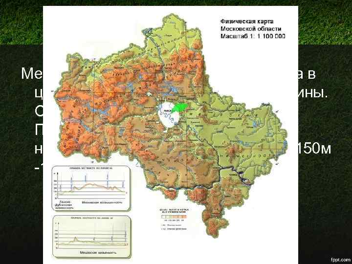 Рельеф Мещерская низменность расположена в центре Восточно-Европейской равнины. Она занимает треть территории Подмосковья. Низменность