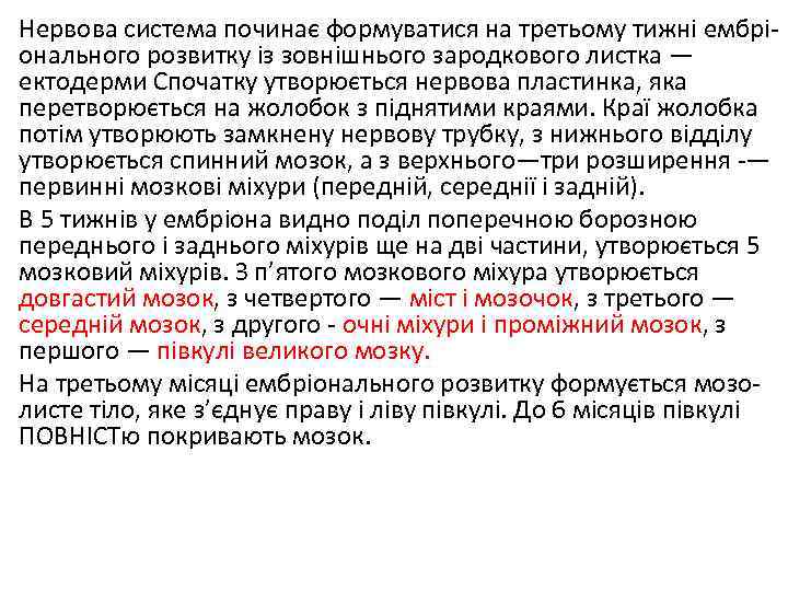 Нервова система починає формуватися на третьому тижні ембрі онального розвитку із зовнішнього зародкового листка