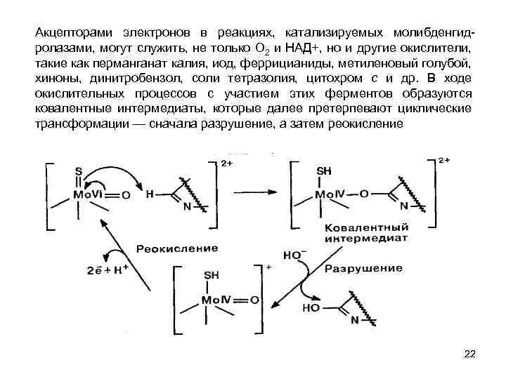 Конечный акцептор электронов. Акцептор электронов это в химии. Акцепторы электронов биология. Акцепторы электронов и протонов.