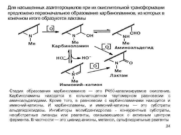 Для насыщенных азагетероциклов при их окислительной трансформации предложено первоначальное образование карбиноламинов, из которых в