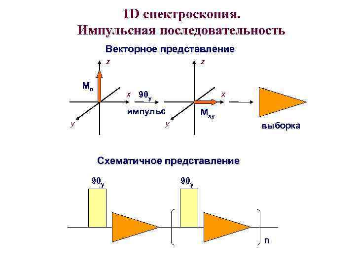 1 D спектроскопия. Импульсная последовательность Векторное представление z Mo z x x 90 y