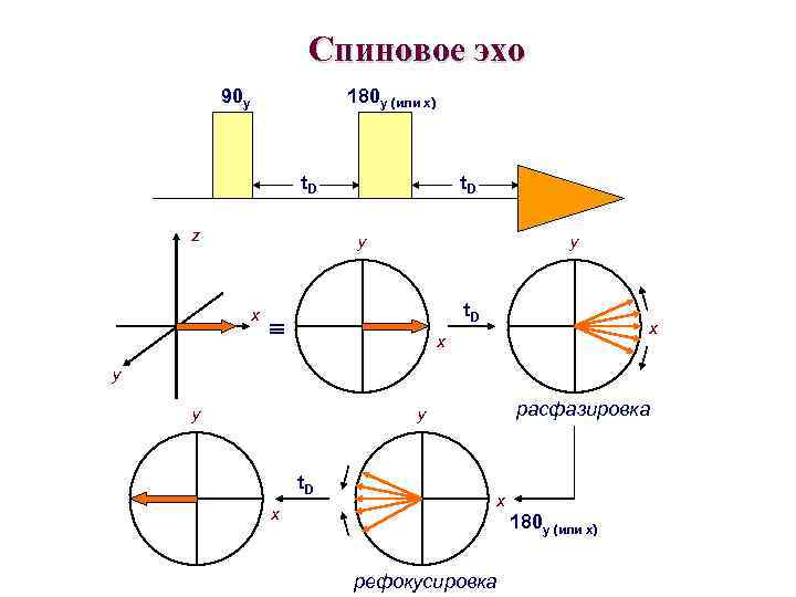 Спиновое эхо 90 y 180 y (или x) t. D z t. D y