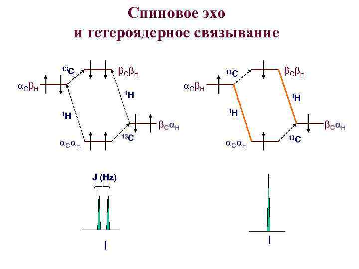 Спиновое эхо и гетероядерное связывание b. Cb. H 13 C a. Cb. H 1