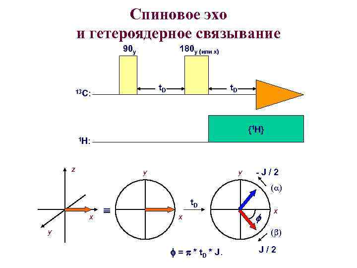 Спиновое эхо и гетероядерное связывание 90 y 180 y (или x) t. D 13