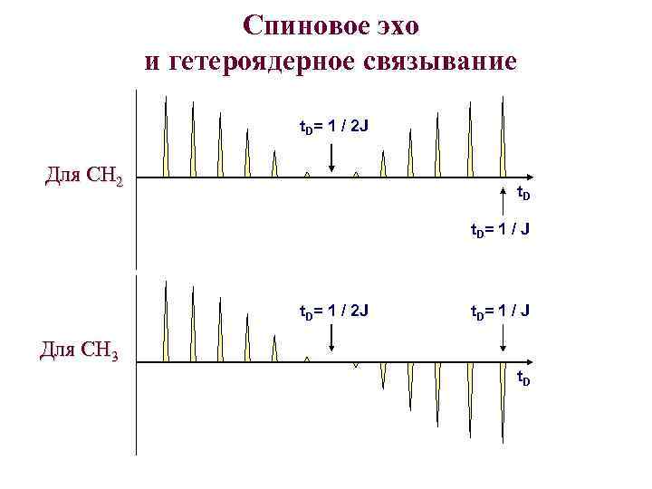 Спиновое эхо и гетероядерное связывание t. D= 1 / 2 J Для CH 2