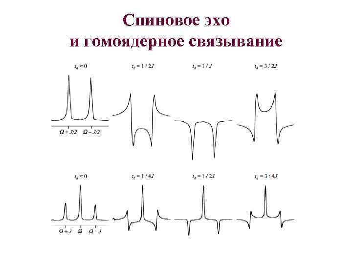 Спиновое эхо и гомоядерное связывание 