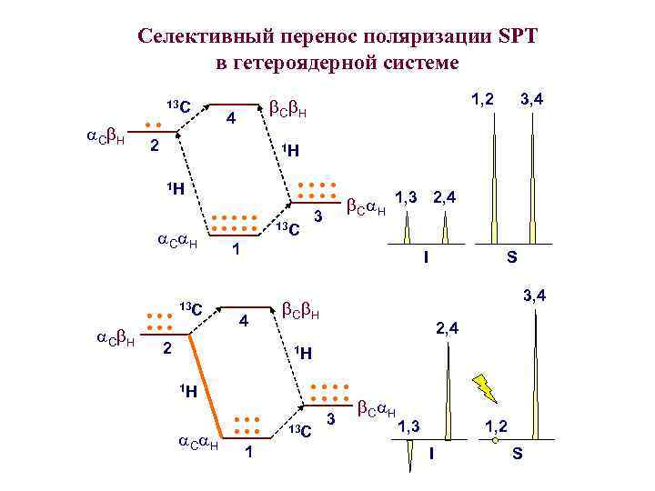 Селективный перенос поляризации SPT в гетероядерной системе a. Cb. H • • 13 C