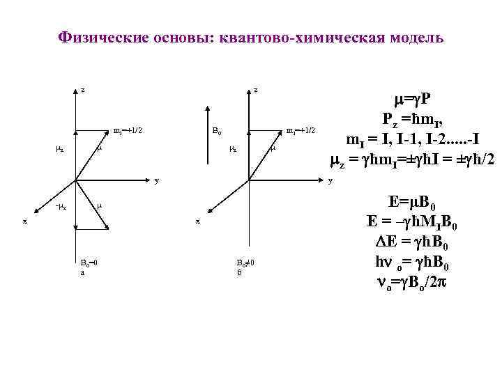 Физические основы: квантово-химическая модель z z m. I=+1/2 B 0 z y y -
