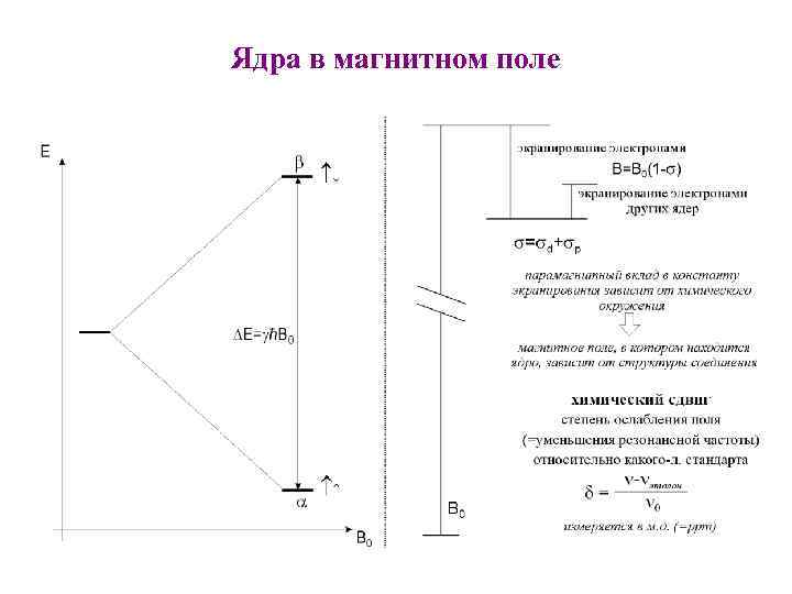 Ядра в магнитном поле 