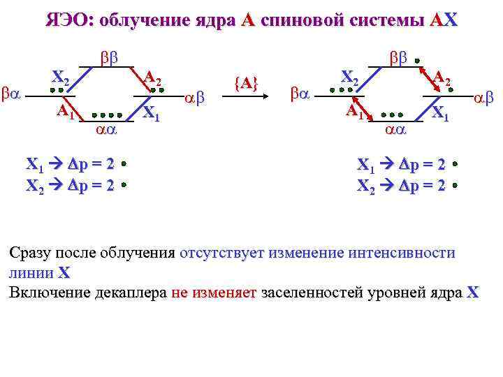 ЯЭО: облучение ядра A спиновой системы AX ba X 2 A 1 bb aa