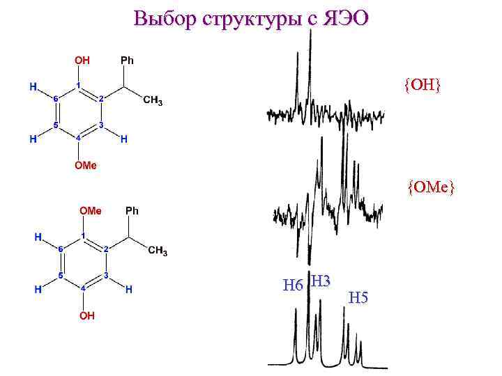 Выбор структуры с ЯЭО {OH} {OMe} H 6 H 3 H 5 