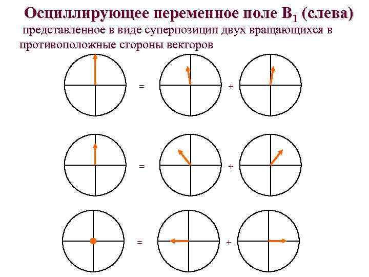 Осциллирующее переменное поле В 1 (слева) представленное в виде суперпозиции двух вращающихся в противоположные