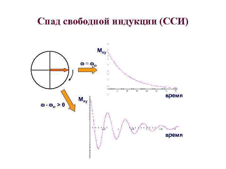 Спад свободной индукции (ССИ) Mxy = o - o > 0 Mxy время 