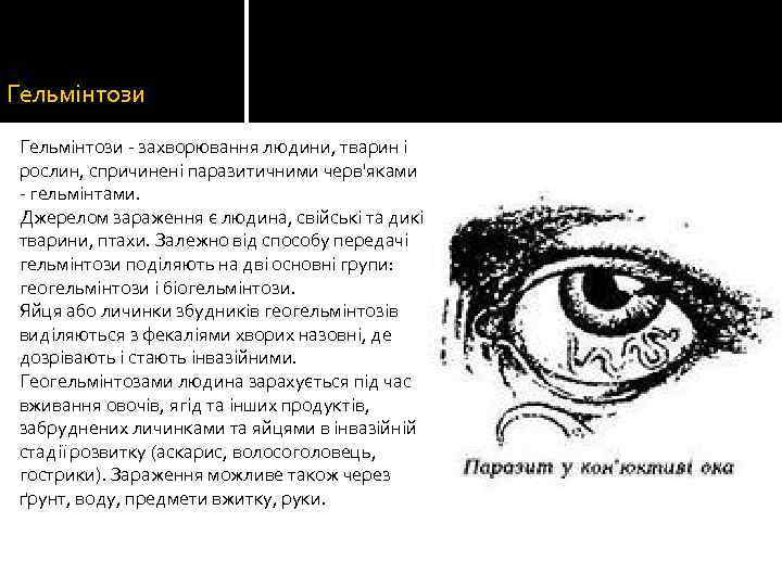 Гельмінтози - захворювання людини, тварин і рослин, спричинені паразитичними черв'яками - гельмінтами. Джерелом зараження