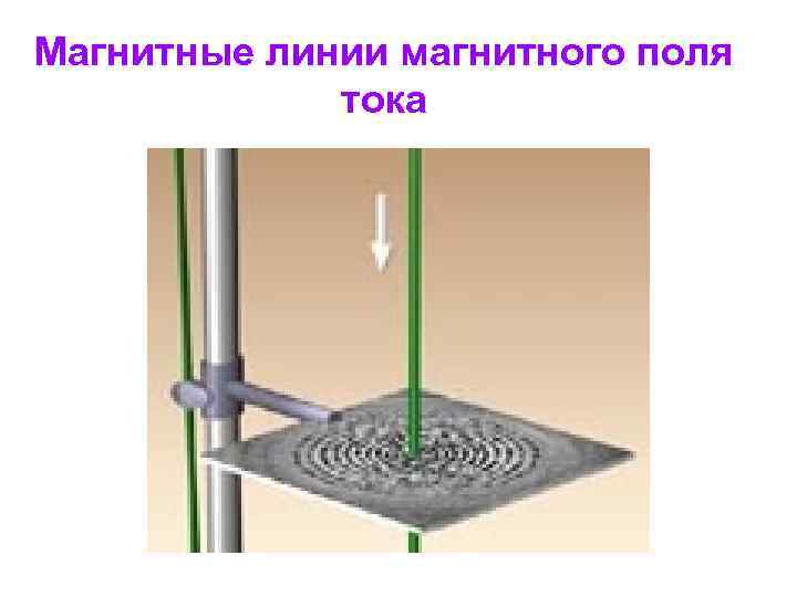 Магнитные линии магнитного поля тока 